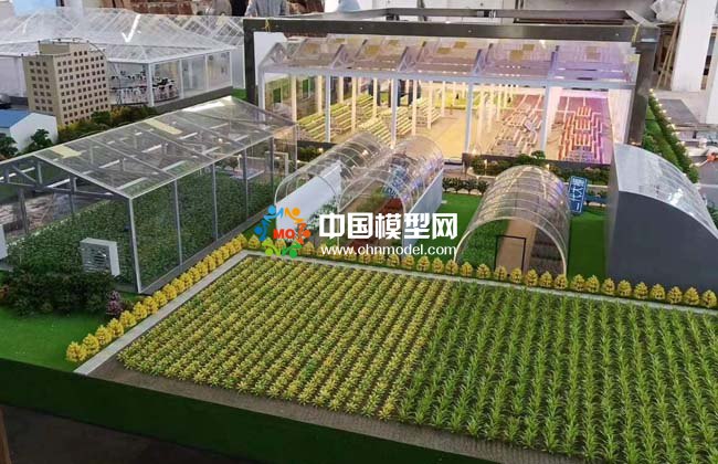  農(nóng)業(yè)大棚模型，畜牧養(yǎng)殖沙盤模型 